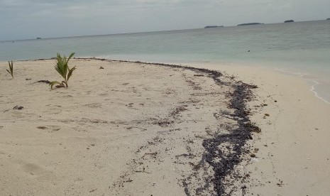 Limbah minyak mentah di Pulau Pantara, Kepulauan Seribu, Senin (4/2).