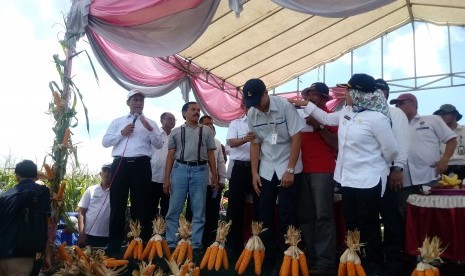 Penandatanganan kesepakatan kerjasama antar petani Lamongan dan  peternak Blitar terkait serapan jagung di Lamongan, Jawa Timur, Rabu (6/2).