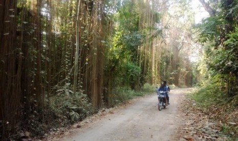 Hutan keanekaragaman hayati milik PT Pupuk Kujang Cikampek. Di hutan yang luasnya mencapai 47,7 hektare ini, terdapat 27 spesies pohon langka khas Jawa Barat.