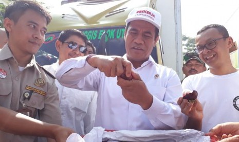 Mentan Andi Amran Sulaiman: Menteri Pertanian Andi Amran Sulaiman melepas ekspor manggis di Kecamatan Cikembar, Kabupaten Sukabumi, Jawa Barat Kamis (21/2).