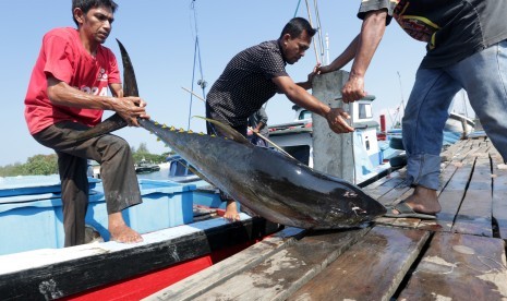 Buruh dan nelayan membongkar muat ikan tuna hasil tangkapan di Pelabuhan Pendaratan Ikan Ulee Lheu, Banda Aceh, Aceh.