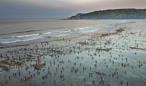 Festival Pesona Bau Nyale: Ribuan warga dan wisatawan mengumpulkan Nyale (cacing laut warna-warni) pada Festival Pesona Bau Nyale 2019 di pantai Seger Kawasan Ekonomi Khusus (KEK) Mandalika yang dikelola oleh Indonesia Tourism Development Corporation (ITDC) di Kuta, Praya, Lombok Tengah, NTB, Senin (25/2/2019).