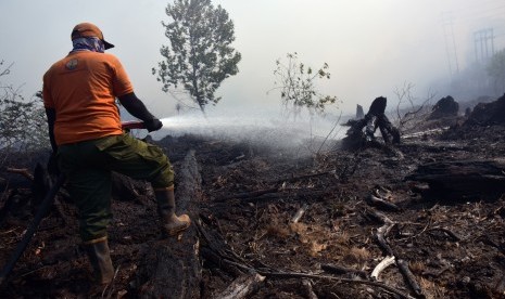 Siaga Darurat Karhutla: Petugas pemadam kebakaran Manggala Agni Kementerian Lingkungan Hidup dan Kehutanan, memadamkan kebakaran lahan gambut di Kota Dumai, Riau.