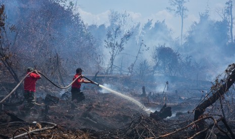 Pemadaman Karthula Riau: Sejumlah personel pemadam kebakaran dari PT Sumatera Riang Lestari melakukan proses pemadaman kebakaran hutan yang berbatasan dengan konsesi perusahaan di Pulau Rupat Kabupaten Bengkalis, Riau, Rabu (27/2/2019).