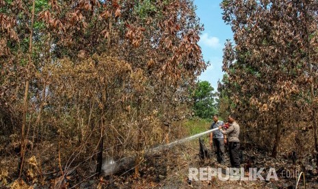 Penyemprotan air ketika melakukan pendinginan di lokasi lahan gambut. (ilustrasi)