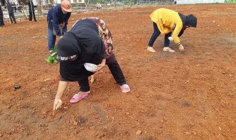 Petani asal Kampung Cilodong, Desa/Kecamatan Bungursari, Purwakarta, saat menanam padi gogo di areal Taman Giri Harja Tajug Gede Cilodong, Rabu (6/3).