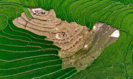 Kenaikan Target PBB Semarang Perlu Dikaji Ulang . Foto udara areal persawahan Desa Kawengen, Ungaran Timur, Kabupaten Semarang, Jawa Tengah.