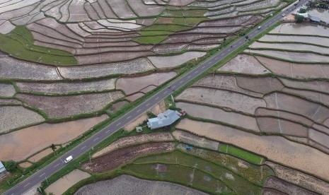 Foto udara kendaraan bermotor melintas di antara areal persawahan sebelum musim tanam di Sungai Tarab, Kabupaten Tanah Datar, Sumatera Barat, Kamis (7/3). Kementerian Pertanian (Kementan) menyatakan akan melakukan perluasan lahan sawah untuk pertanaman padi pada semester kedua tahun ini. Total target perluasan sebesar 250 ribu hektare. 