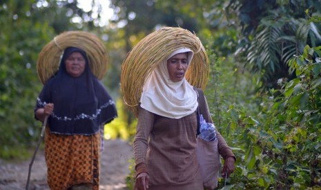 Ilustrasi perempuan kelola hutan. Foto: Dua perempuan membawa komoditas hasil hutan non kayu jenis rotan 