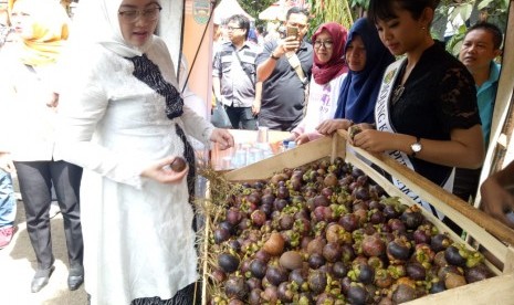 Bupati Purwakarta Anne Ratna Mustika, saat mengunjungi stand dalam Festival Manggis Purwakarta 2019. Pemkab Purwakarta berencana menyiapkan lahan untuk penelitian manggis yang menjadi salah satu buah khas Purwakarta.