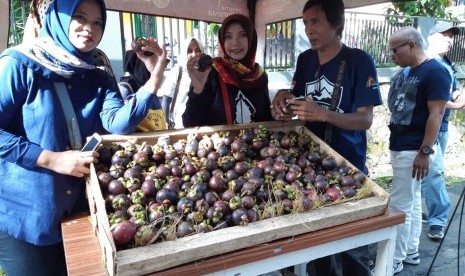 Bupati Purwakarta Anne Ratna Mustika, saat mengunjungi stand dalam Festival Manggis Purwakarta 2019, Sabtu (23/4). 