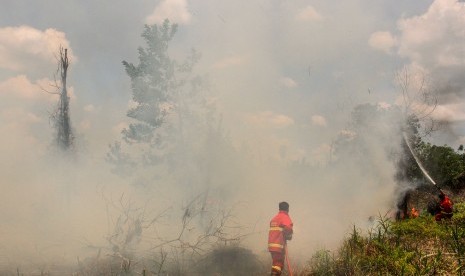 Petugas Pemadam Kebakaran Kota Pekanbaru berusaha memadamkan api yang membakar semak belukar dan pepohonan ketika terjadi kebakaran lahan gambut di Pekanbaru, Riau, Senin (25/3/2019).