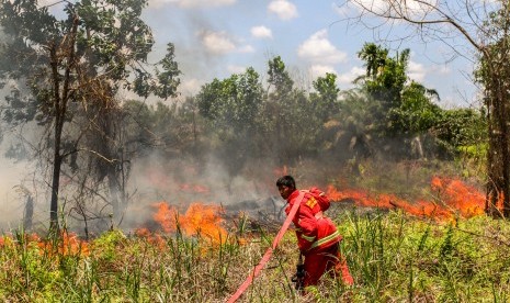 Petugas Pemadam Kebakaran Kota Pekanbaru berusaha memadamkan api yang membakar semak belukar dan pepohonan ketika terjadi kebakaran lahan gambut di Pekanbaru, Riau, Senin (25/3/2019).