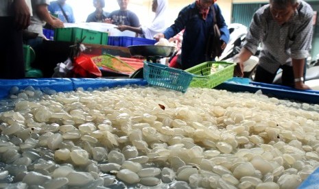 Pedagang melayani konsumen pembeli buah kolang kaling di Pasar Baru, Bekasi, Jawa Barat, Senin (6/5/2019).