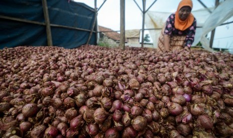 Petani mengeringkan bawang merah setelah dipanen di Kampung Cicayur, Cimenyan, Kabupaten Bandung, Jawa Barat, Selasa (7/5/2019).