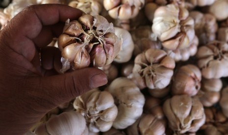 Pedagang menata bawang putih yang dijajakan di pasar Ulee Kareng, Banda Aceh, Aceh, Selasa (7/5/2019).