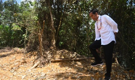 Presiden Joko Widodo berjalan di kawasan hutan saat meninjau salah satu lokasi calon ibu kota negara di Gunung Mas, Kalimantan Tengah, Rabu (8/5/2019).