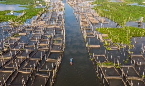 Nelayan beraktivitas di sekitar karamba budi daya ikan air tawar di Danau Rawa Pening, Desa Asinan, Bawen, Kabupaten Semarang, Jawa Tengah, Selasa (2/7/2019). 