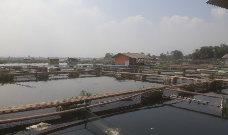 Keramba Jaring Apung (KJA) di waduk Saguling, Kabupaten  Bandung Barat.Pembangkit Listrik Tenaga Air (PLTA) Saguling yang berlokasi di Kabupaten Bandung Barat, Jawa Barat, untuk mendukung sistem kelistrikan Jawa-Bali.  