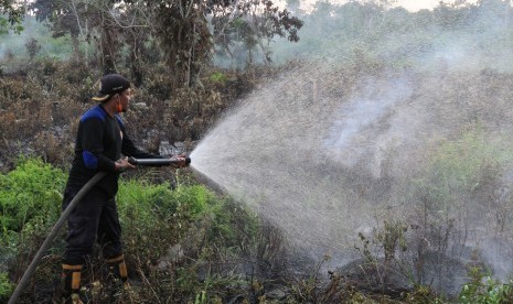 Petugas berusaha memadamkan kebakaran lahan gambut di Desa Alue Peunyarieng, Kecamatan Meureubo, Aceh Barat, Aceh.