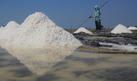 Petambak memanen garam di desa Tanjakan, Krangkeng, Indramayu, Jawa Barat, Rabu (10/7/2019).