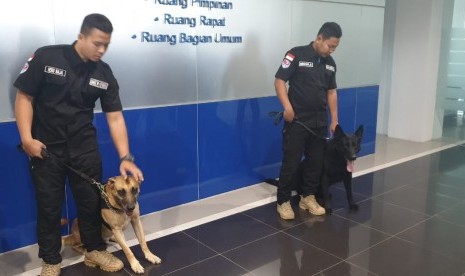 Dua anjing pelacak (K-9) yang membantu pengungkapan kasus 169 kilogram ganja oleb BNNP Jabar. 