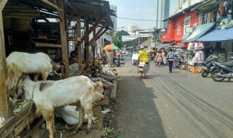 Pedagang hewan kurban di Jalan KH Mas Mansyur, Tanah Abang, Jakarta Pusat, Rabu (17/7).