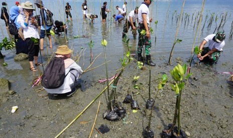 Peserta menanam bibit pohon mangrove di lokasi bekas tsunami di Pantai Mamboro, Palu Utara, Sulawesi Tengah, Rabu (17/7/2019).