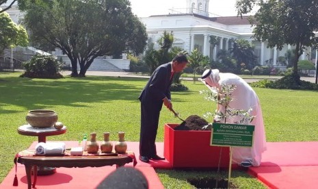 Presiden Joko Widodo dan Putra Mahkota Abu Dhabi Sheikh Mohamed Bkn Zayed Al Nahyan saat melakukan penanaman pohon damar bersama-sama di Istana Kepresidenan Bogor, Jawa Barat, Rabu (24/7). 