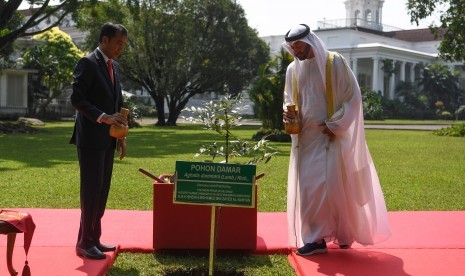 President Joko Widodo (left) with Crown Prince Abu Dhabi / Deputy Supreme Commander of the United Arab Emirates Armed Forces Sheikh Mohamed Bin Zayed Al Nahyan (right) watering Damar trees planted while receiving a state visit at Bogor Palace, West Java, Wednesday (24/7/2019).