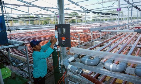 Petugas memeriksa salah satu alat di Photo Bio Reactor (PBR) tempat alga dikembangbiakkan usai peresmian industri bioteknologi berbasis mikroalga oleh Menteri Kesehatan Nila F. Moeloek di Kaliwungu, Kendal, Jawa Tengah, Kamis (25/7/2019). PT. 