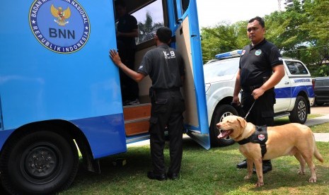 Anjing pelacak K9 jenis Labrador Retriever (ilustrasi). Thailand melatih anjing pelacak untuk mendeteksi Covid-19 melalui keringat manusia. Uji coba ini terbukti hampir 95 persen akurat dan dapat digunakan untuk mengidentifikasi virus korona dalam hitungan detik.