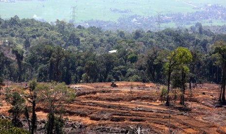 Pembukaan lahan baru untuk pemukiman dan perkebunan di kawasan hutan Geumpang, Pidie, Aceh, Ahad (28/7/2019). Walhi sebut penyusutan hutan Aceh sejak 2017 hingga 2022 akan capai 35 ribu hektare.