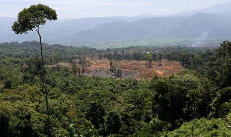 Kaum perempuan turun tangan menjaga hutan di Bener Meriah. Foto: Pembukaan lahan baru untuk pemukiman dan perkebunan di kawasan hutan Geumpang, Pidie, Aceh, Ahad (28/7/2019). 