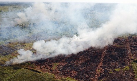 Foto udara kebakaran hutan dan lahan di Kalimantan Barat.