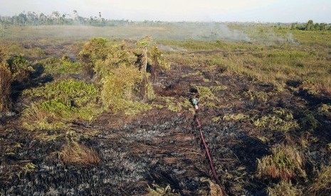 Foto udara lokasi kebakaran hutan dan lahan di kawasan Ketapang Tanjungpura Km 4 di Desa Sungai Awan Kiri, Kecamatan Muara Pawan, Kabupaten Ketapang, Kalimantan Barat, Selasa (30/7/2019).