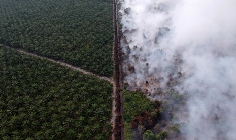 Foto udara lahan perkebunan kelapa sawit milik salah satu perusahaan (kiri) dan kebakaran lahan gambut (kanan) Kumpeh Ulu, Muarojambi, Jambi, Selasa (30/7/2019)