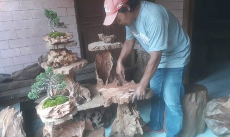 Eli alias Mang Elong (45), salah seorang warga Cikole Kabupaten Bandung Barat pengrajin Bonsai di Kaki Gunung Tangkuban Perahu. 