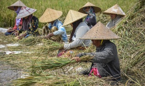 Mendagri Wajibkan Pemda Buat Program Pemberdayaan Perempuan. 