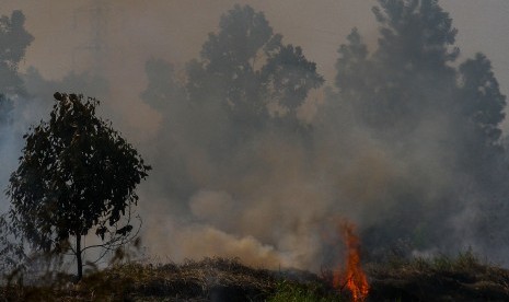 Asap pekat mengepul ketika terjadi kebakaran lahan gambut di Pekanbaru, Riau, Kamis (1/8/2019).