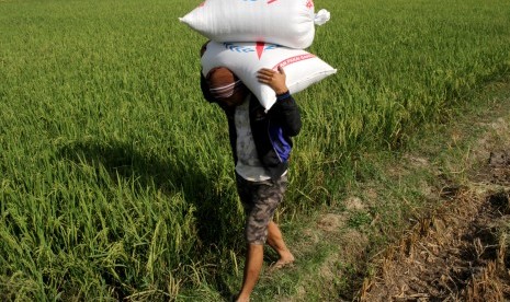 Buruh mengangkut karung berisi gabah di Kecamatan Somba Opu, Gowa, Sulawesi Selatan, Kamis (1/8/2019). 