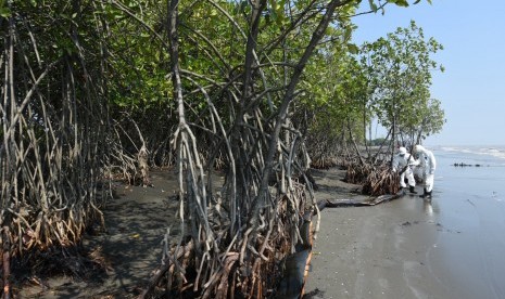 Dua pekerja Oil Spill Combat Team (OSCT) memeriksa Oil Boom di sepanjang Pantai Sedari, Karawang, Jawa Barat, Kamis (1/8/2019).