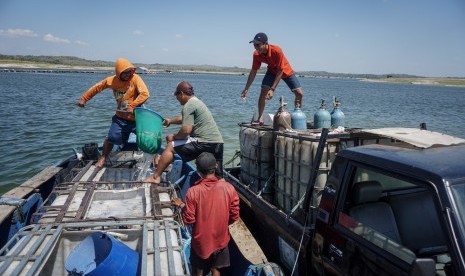 Pekerja memindahkan ikan air tawar keramba apung jenis nila dan ikan mas dari atas kapal usai panen di Waduk Kedung Ombo, Sumberlawang, Sragen, Jawa Tengah, Senin (5/8/2019). 