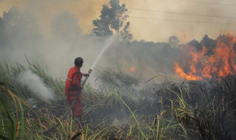 Tim Manggala Agni memadamkan kebakaran lahan gambut di Desa Pulau Semembu, Indralaya Utara, Ogan Ilir, Sumatra Selatan, Senin (5/8/2019). 