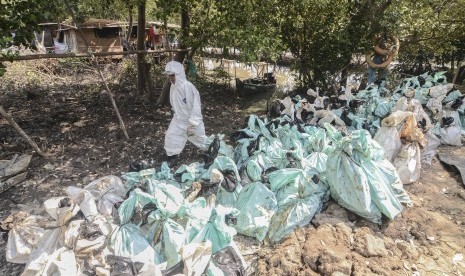 Petugas berjalan di samping jajaran karung berisi limbah kebocoran minyak mentah Pertamina di kawasan ekosistem mangrove Desa Pantai Bahagia, Muaragembong, Kabupaten Bekasi, Jawa Barat, Selasa (6/8/2019). 