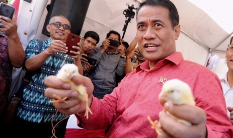 Menteri Pertanian Andi Amran Sulaiman (kanan) menunjukkan Day Old Chicken (DOC) siap ekspor saat kegiatan pelepasan ekspor komoditas unggulan Bali di kawasan kargo logistik Bandara Internasional I Gusti Ngurah Rai, Bali, Rabu (7/8/2019).