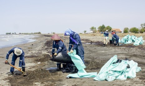 Petugas mengumpulkan tumpahan minyak mentah yang tercecer di Pesisir Pantai Mekarjaya, Karawang, Jawa Barat, Kamis (8/8/2019).