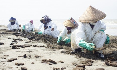 Petugas mengumpulkan tumpahan minyak mentah yang tercecer di Pesisir Pantai Tanjungsari, Karawang, Jawa Barat, Kamis (8/8/2019).