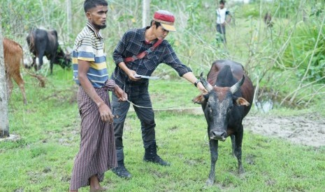 Setelah menempuh perjalanan sekitar 497 Kilometer, akhirnya tim distribusi Tebar Hewan Kurban (THK) Dompet Dhuafa, tiba di Rakhine State, Sittwe Township Myanmar.