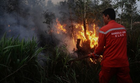 Petugas Manggala Agni memadamkan kebakaran lahan gambut. (ilustrasi)